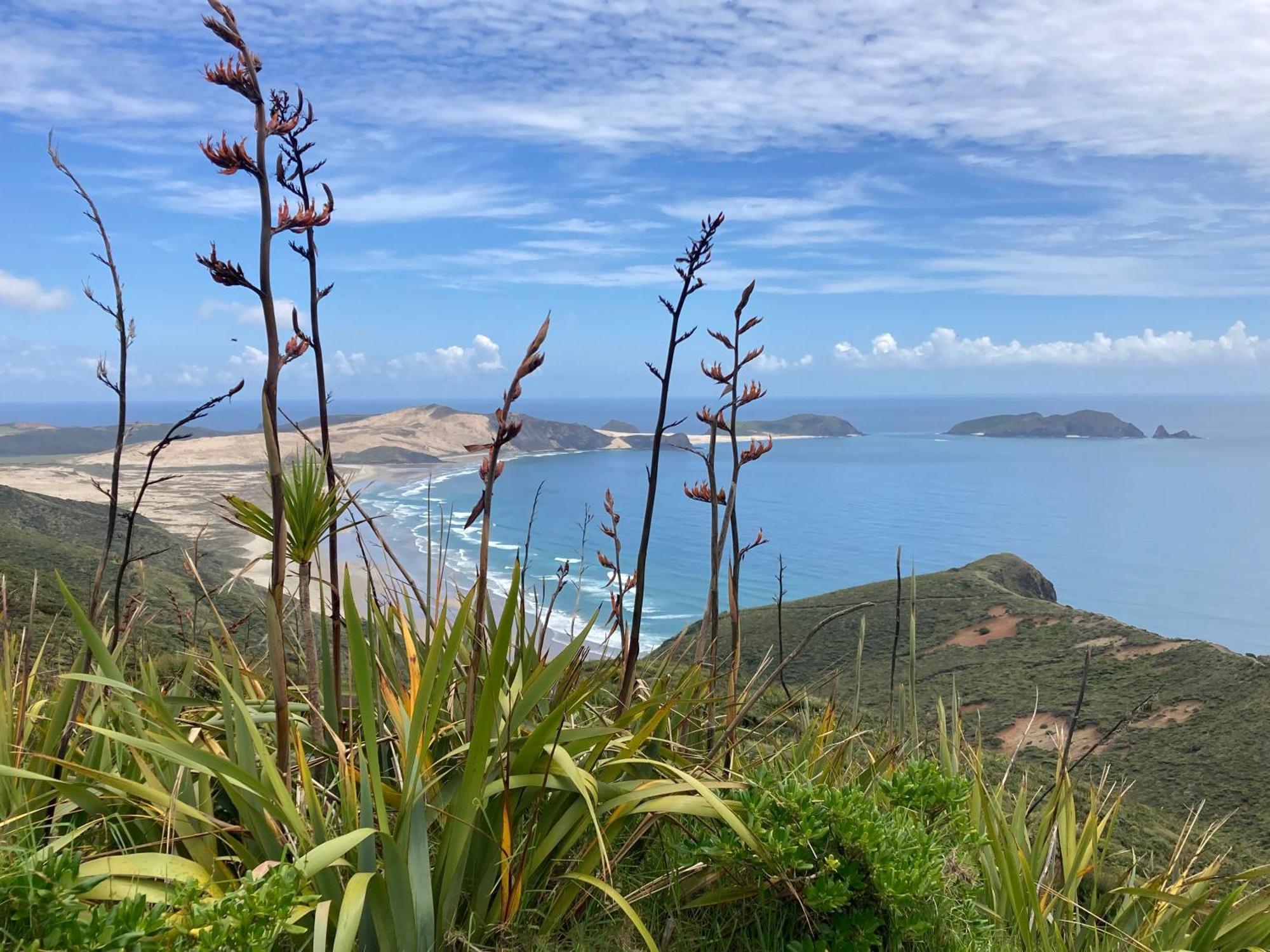 Kaingaroa Far North Panoramaヴィラ エクステリア 写真